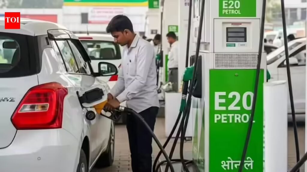 E20 petrol: India switches to E20 petrol from today: What it means for your car