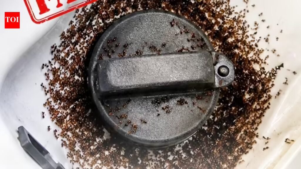 BPCL :E20 petrol attracts ants? BPCL responds to viral claim, explains the matter.